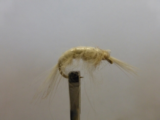 Size 16 Gammarus Weighted White